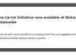 Hero banner with the Louisiana carrot initiative headline: 'Louisiana Carrot Initiative now available at Walmart stores statewide' and the subheadline about SNAP benefits across Louisiana.